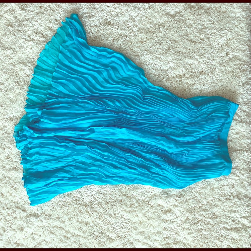 Blue Rag and Bone pleated skirt size 4